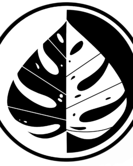 Amanda | SPECIAL ORDER