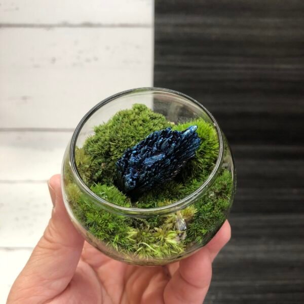 Gemstone Terrarium Kit - Image 2