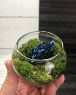 Gemstone Terrarium Kit
