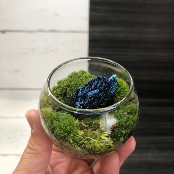Gemstone Terrarium Kit