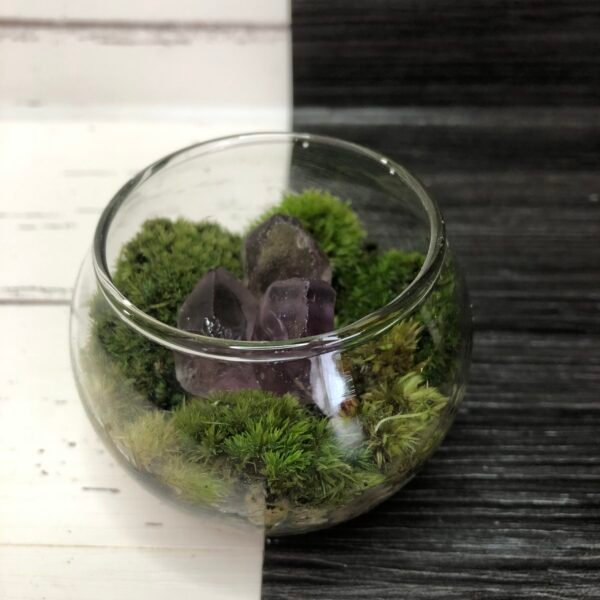 Gemstone Terrarium Kit - Image 4