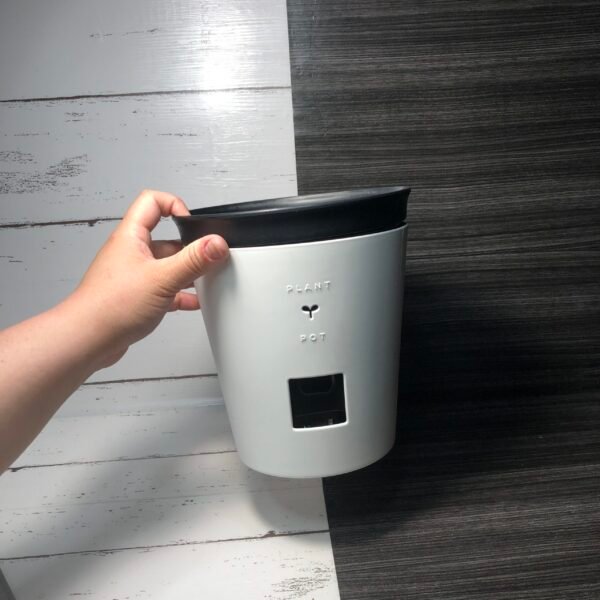 Self Watering Pot